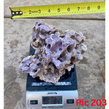 Rare live rocks for sale  El Cajon