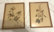Bird pictures vintage for sale  Saint Paul