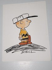 Peanuts charlie brown for sale  Hillside