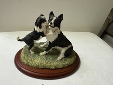 border collie puppies for sale  SHANKLIN