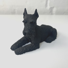 Castagna schwarzer schnauzer gebraucht kaufen  Hamburg