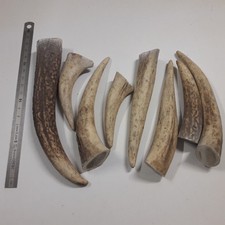 Lot bois cerf d'occasion Lot bois cerf d'occasion  Saint-Dizier