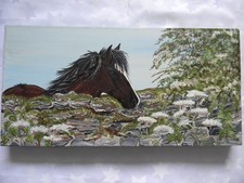 Kathryn harvey original for sale  HUDDERSFIELD