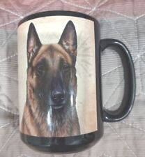 Belgian malinois large for sale  Ipswich