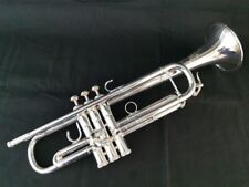 Shires destino doc for sale  BIRMINGHAM