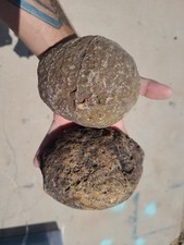 agate nodule for sale agate nodule for sale Sierra Vista