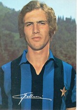 Inter calcio sauro usato  Rosignano Marittimo