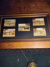 Vintage atkinson fox for sale  Des Moines