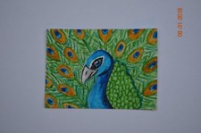 Aceo original watercolor for sale  Sacramento