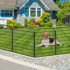 Kyate panels dog for sale  Royse City