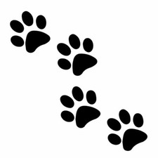 Vinyl multiple paw for sale  HAYLING ISLAND