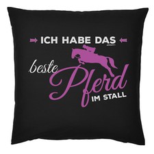 Pferde sprüche kissen gebraucht kaufen  Fürstenstein