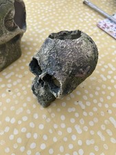 Skull aquarium ornament for sale  COULSDON