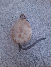 Gourde allemande ww1 d'occasion  Marseille I