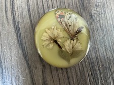 Antique vintage dried for sale  RUGELEY