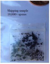 Portabella mushroom seeds for sale  Ashland