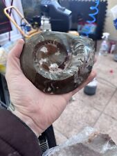 Polished large ammonite for sale  BILSTON