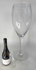 Giant wine glass for sale  NORTHAMPTON