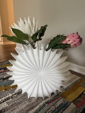 White round shell for sale  Hendersonville