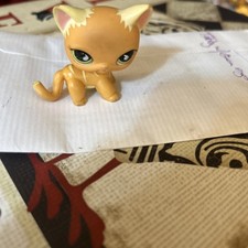 Littlest pet shop for sale  Danbury