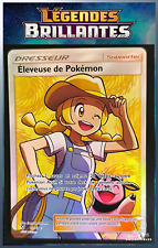 Carte pokémon eleveuse d'occasion  Rilhac-Rancon