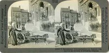 Brussels dog drawn for sale  USA