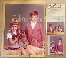 3 cute dog family for sale 3 cute dog family for sale Saint Petersburg