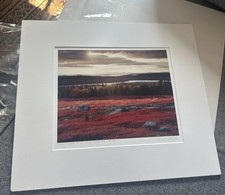 Terrell lester signed for sale  LONDON