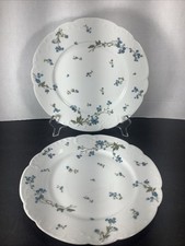 Set haviland limoges for sale  Norristown