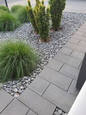 Zierkies grau kostenlos gebraucht kaufen  Bad Oeynhausen