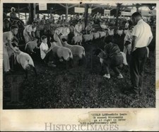 1965 press photo for sale  Memphis