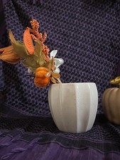 Speckled ceramic plant for sale  STOCKPORT