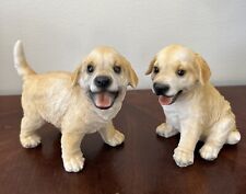 Golden retriever yellow for sale  Bountiful