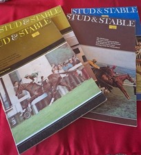 Stud stable horse for sale Stud stable horse for sale  STANSTED