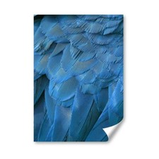 Blue macaw parrot for sale  SELBY