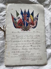Armistice day 1919 for sale  TWICKENHAM