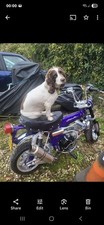 Honda dax monkey for sale  READING