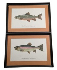 trout print for sale trout print for sale Georgetown