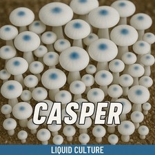 Casper liquid culture for sale  Spartanburg