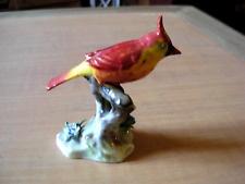 Bel oiseau cardinal d'occasion Bel oiseau cardinal d'occasion  Besançon