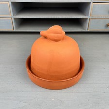 Terra cotta garlic for sale  Haven