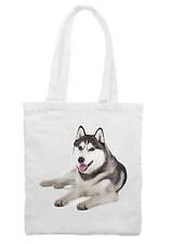 Siberian husky shoulder for sale  LANCASTER