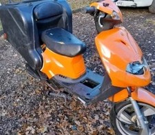 2017 golden bee for sale  WICKFORD