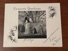 Afghan hound photo for sale  Parker