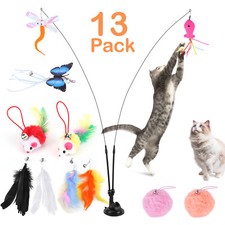 13pcs kitten cat for sale  USA