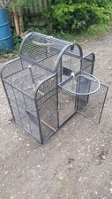 Large bird parrot for sale  MAIDSTONE