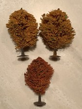 Fall trees z for sale  Donegal
