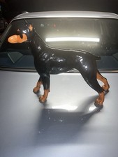 Goebel doberman pinscher for sale  Riverview