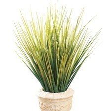 Decorative grass bushes for sale  USA