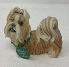 Gold white shih d'occasion  Expédié en Belgium